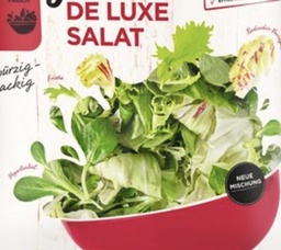 [836.218] Salat DE LUXE 1200g