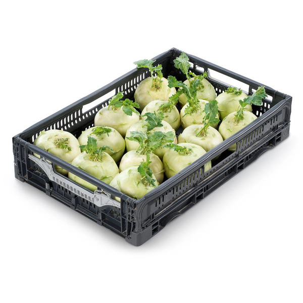 Kohlrabi KL. 1 per STK HK AT