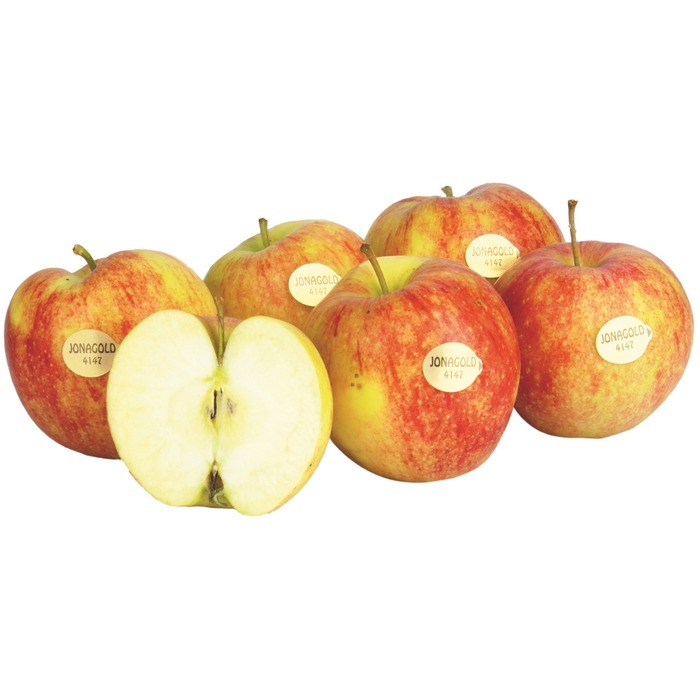 Jonagold Apfel KL. 1 per KG