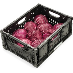 [80796] Radicchio rot per KG