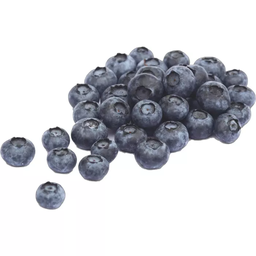 [541244] Heidelbeeren 125g