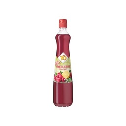 [699686] Yo Sirup PET Himbeer/Zitrone 0,7l,